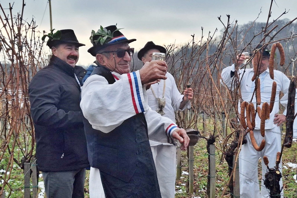 martijanec-vincekovo (7) martijanec-vincekovo (7)