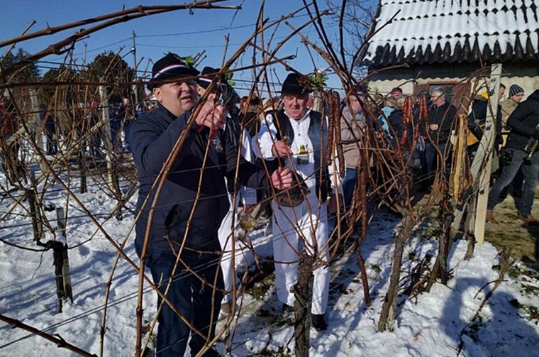 vincekovo martijanec