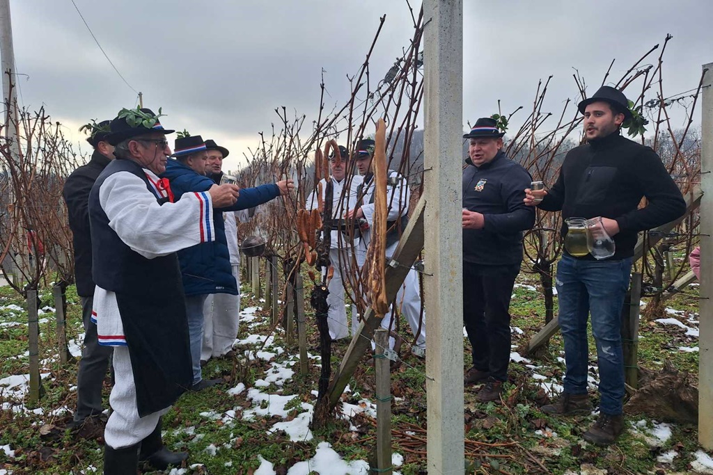 martijanec-vincekovo (9) martijanec-vincekovo (9)