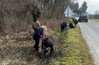 martijanec-zelena-cistka (1) martijanec-zelena-cistka (1)