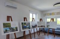 media_20250505_121447_9139158718174137213