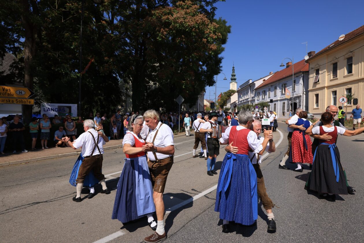 mediaspeed_lendavskatrgaetv