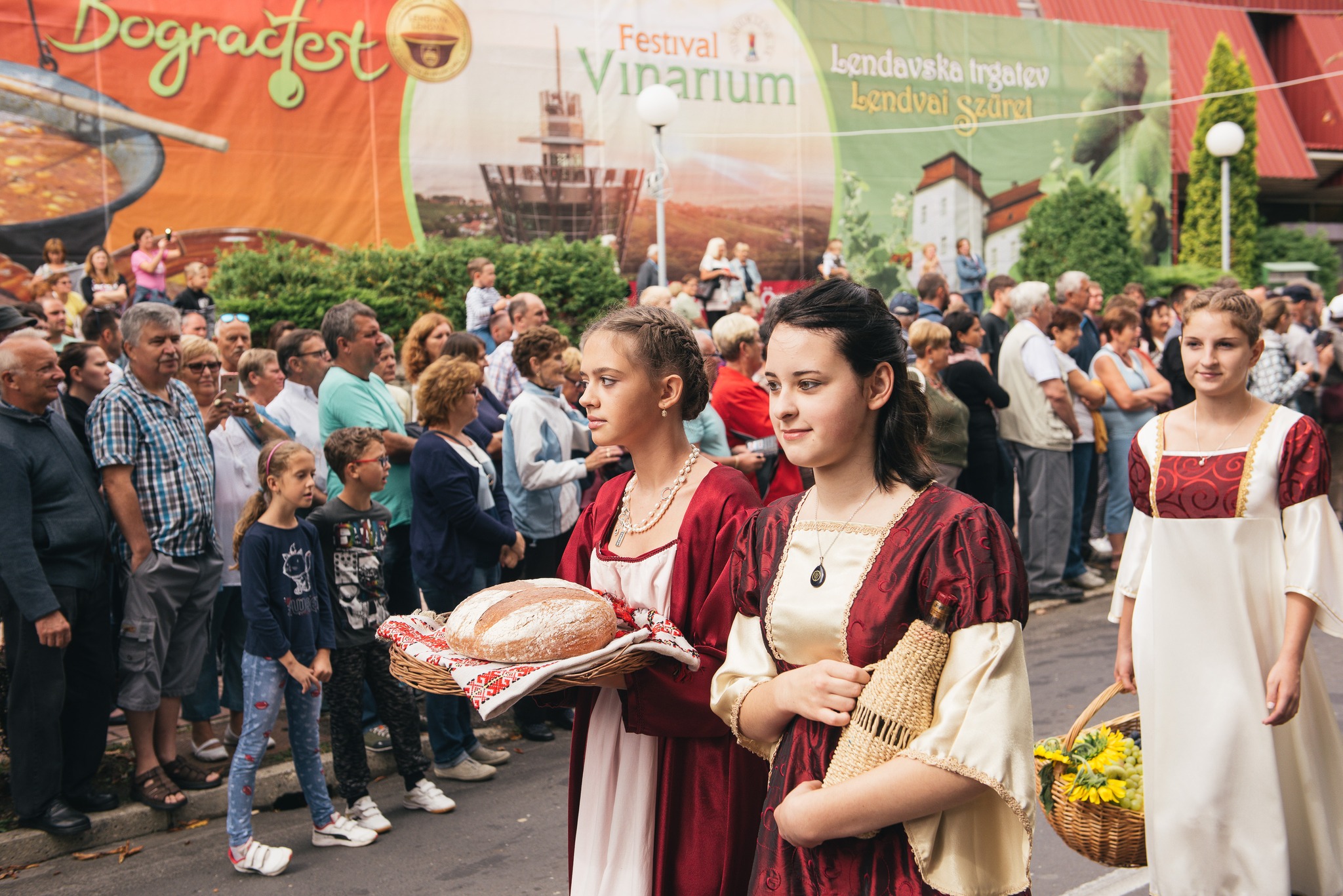 mediaspeed_lendavskatrgaetv2