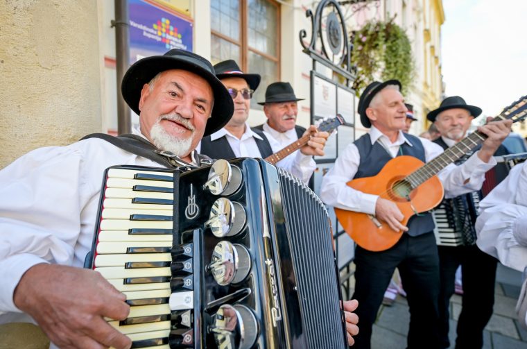 mimohod_dan_starijih_osoba (11)