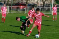 novakovec sloboda – nina vrcek 13