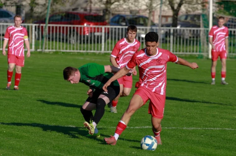 novakovec sloboda – nina vrcek 13