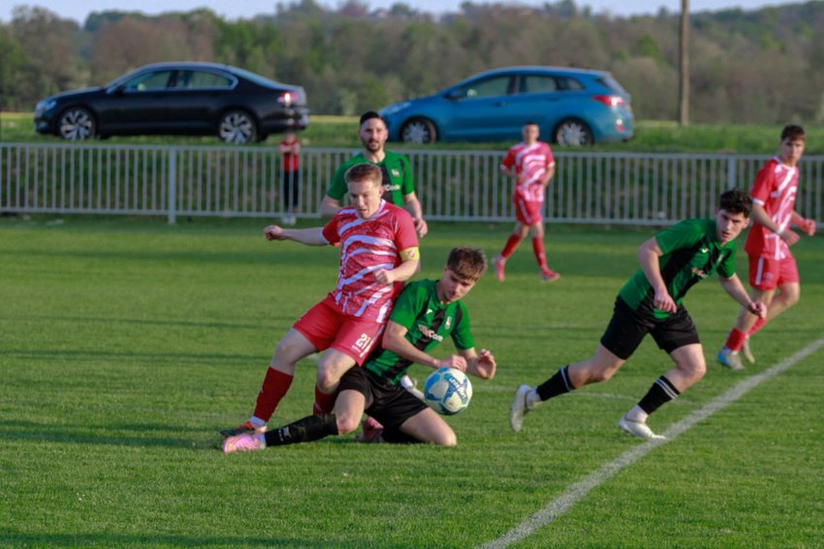 novakovec sloboda – nina vrcek 17