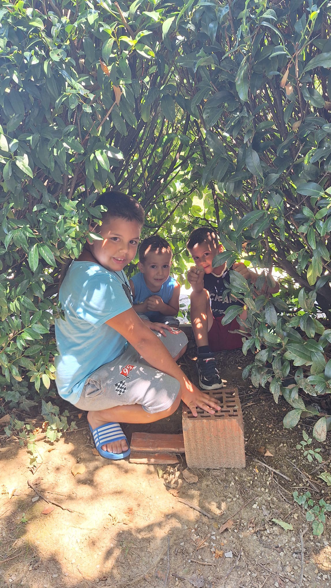 novi marof 1 novi marof 1