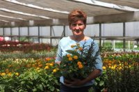 obrt cepanec (1) obrt cepanec (1)