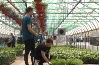 obrt cepanec (10) obrt cepanec (10)