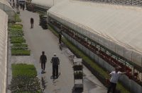 obrt cepanec (11) obrt cepanec (11)