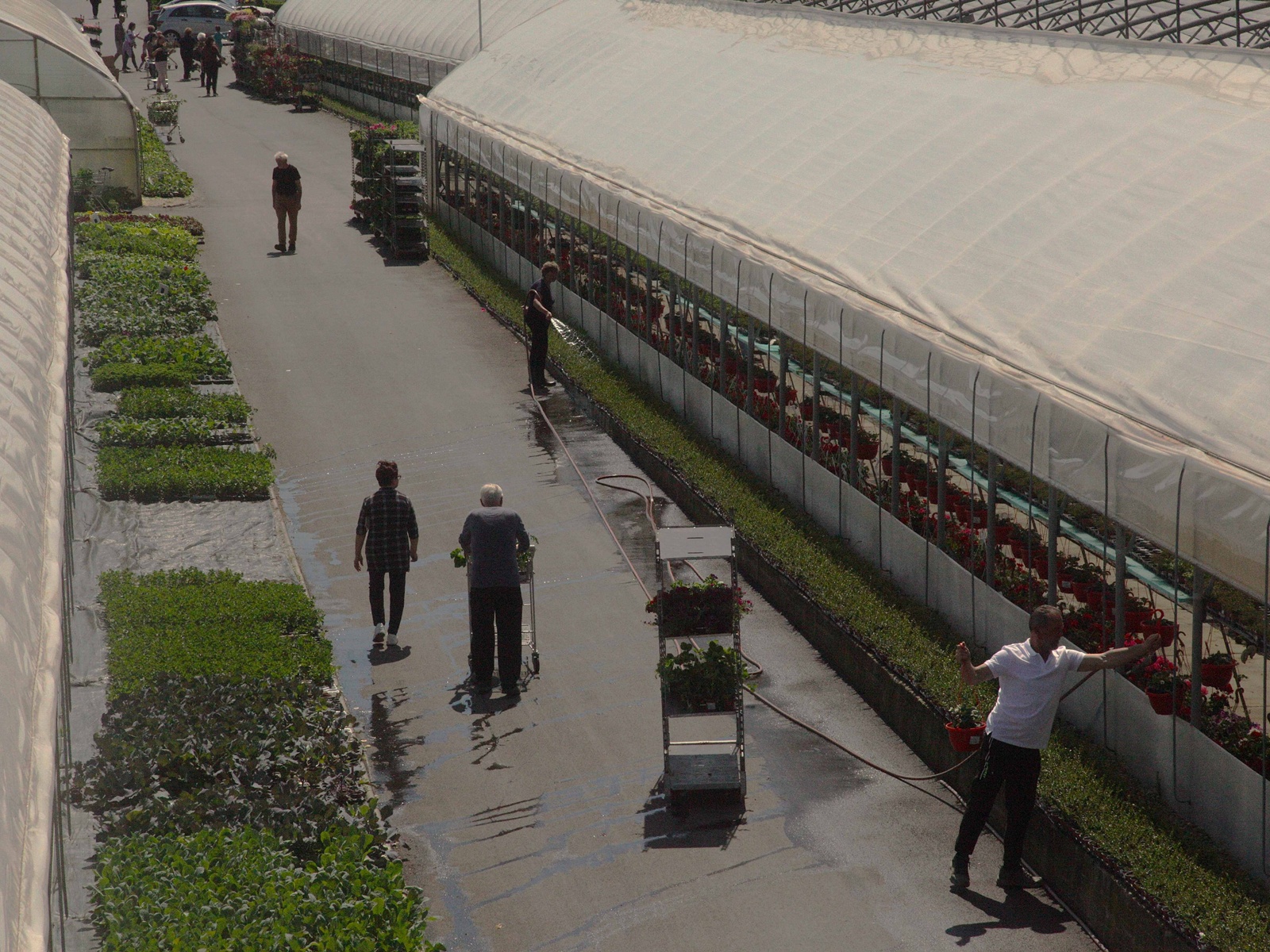 obrt cepanec (11) obrt cepanec (11)