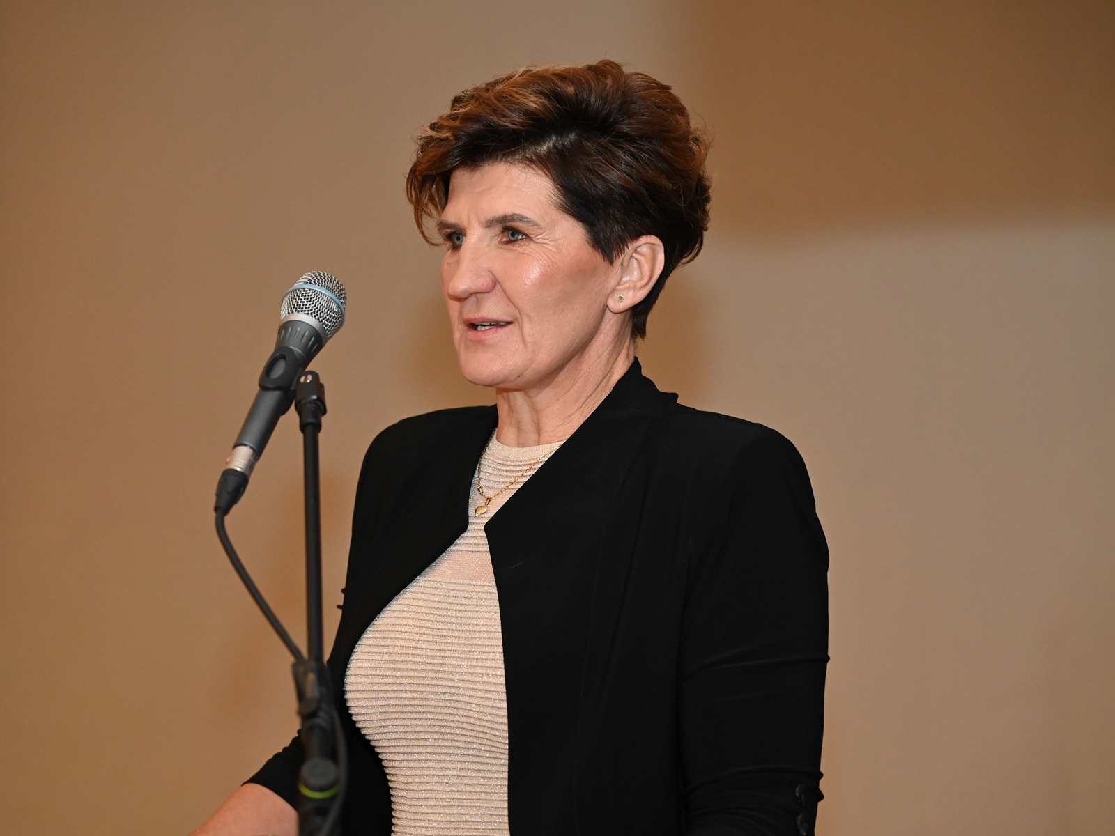 obrt cepanec (30) obrt cepanec (30)