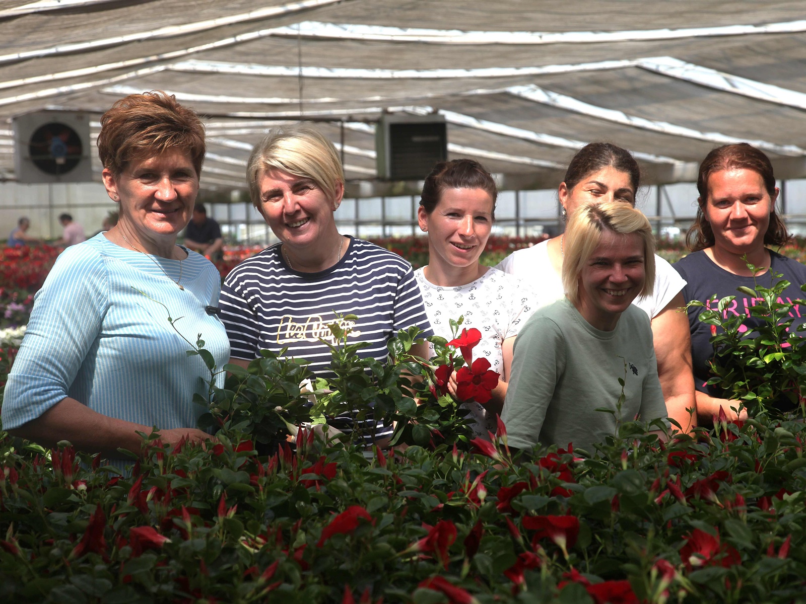 obrt cepanec (6) obrt cepanec (6)