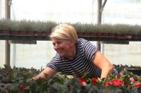 obrt cepanec (8) obrt cepanec (8)