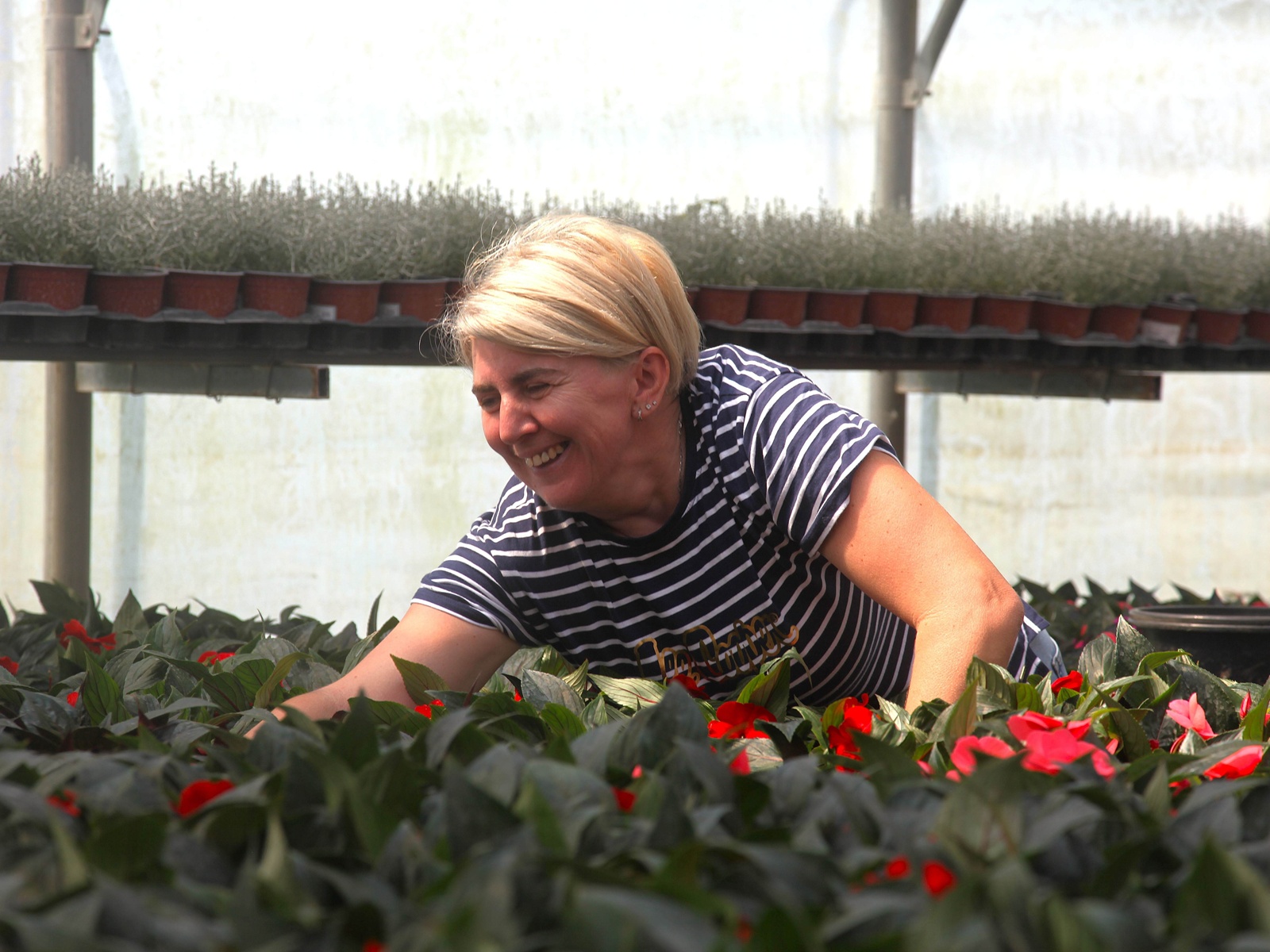 obrt cepanec (8) obrt cepanec (8)