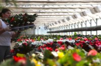 obrt cepanec (9) obrt cepanec (9)