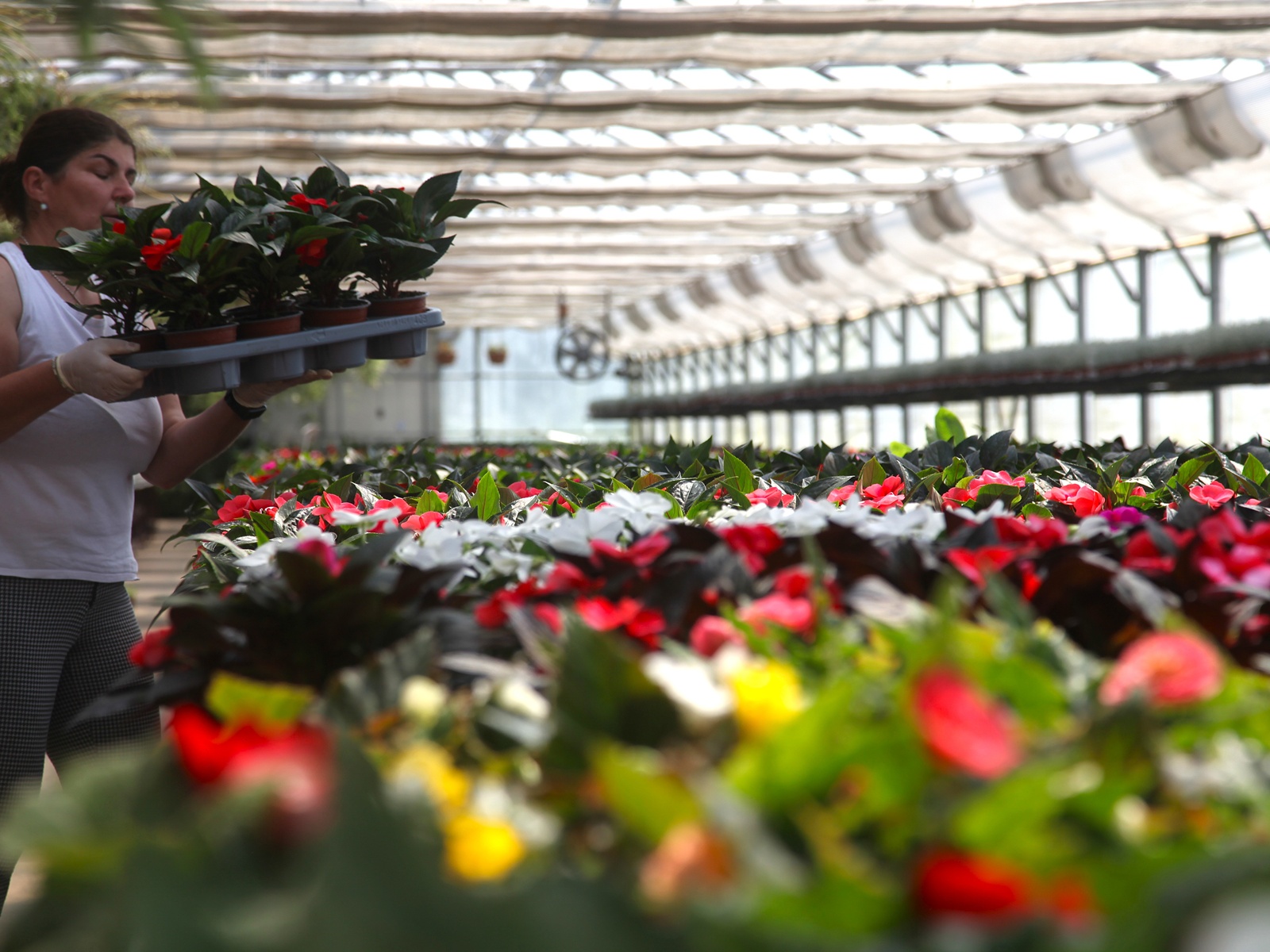 obrt cepanec (9) obrt cepanec (9)