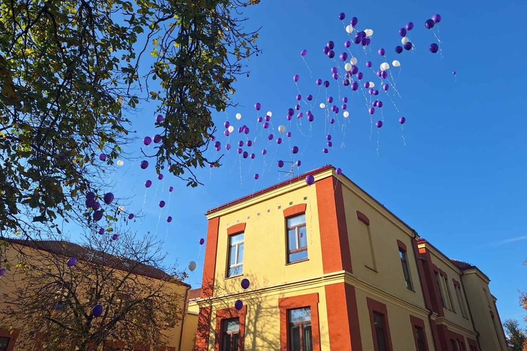 obv svjetski dan palcica (23)