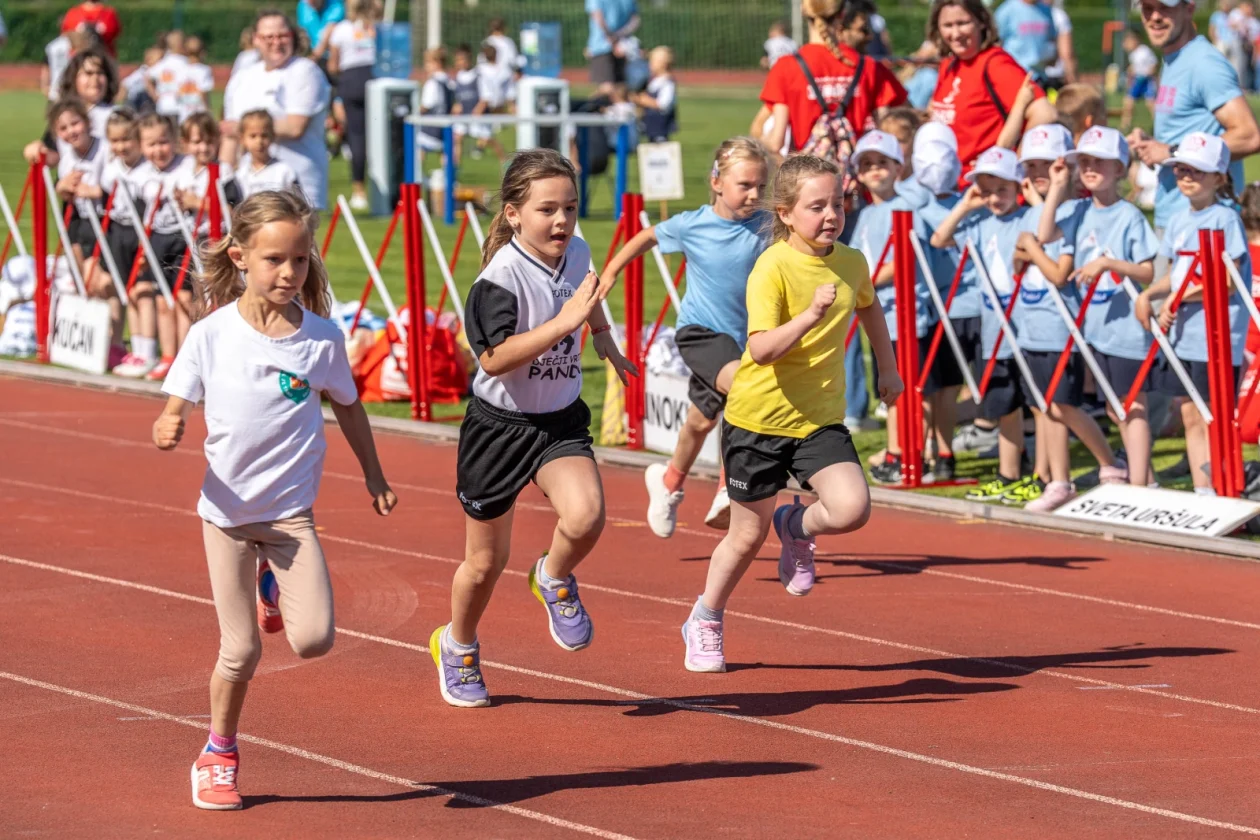 olimpijski festival djecjih vrtica – zsugv 02 olimpijski festival djecjih vrtica – zsugv 02