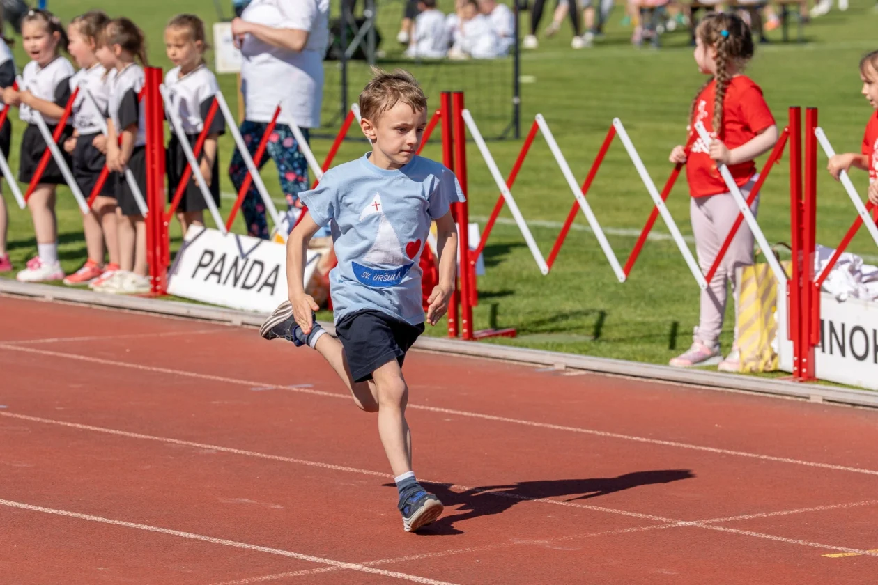 olimpijski festival djecjih vrtica – zsugv 05 olimpijski festival djecjih vrtica – zsugv 05