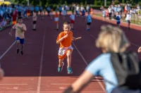 olimpijski festival djecjih vrtica – zsugv 11 olimpijski festival djecjih vrtica – zsugv 11