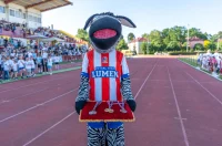 olimpijski festival djecjih vrtica – zsugv 16 olimpijski festival djecjih vrtica – zsugv 16