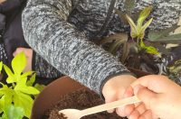 otb projekt (2) otb projekt (2)