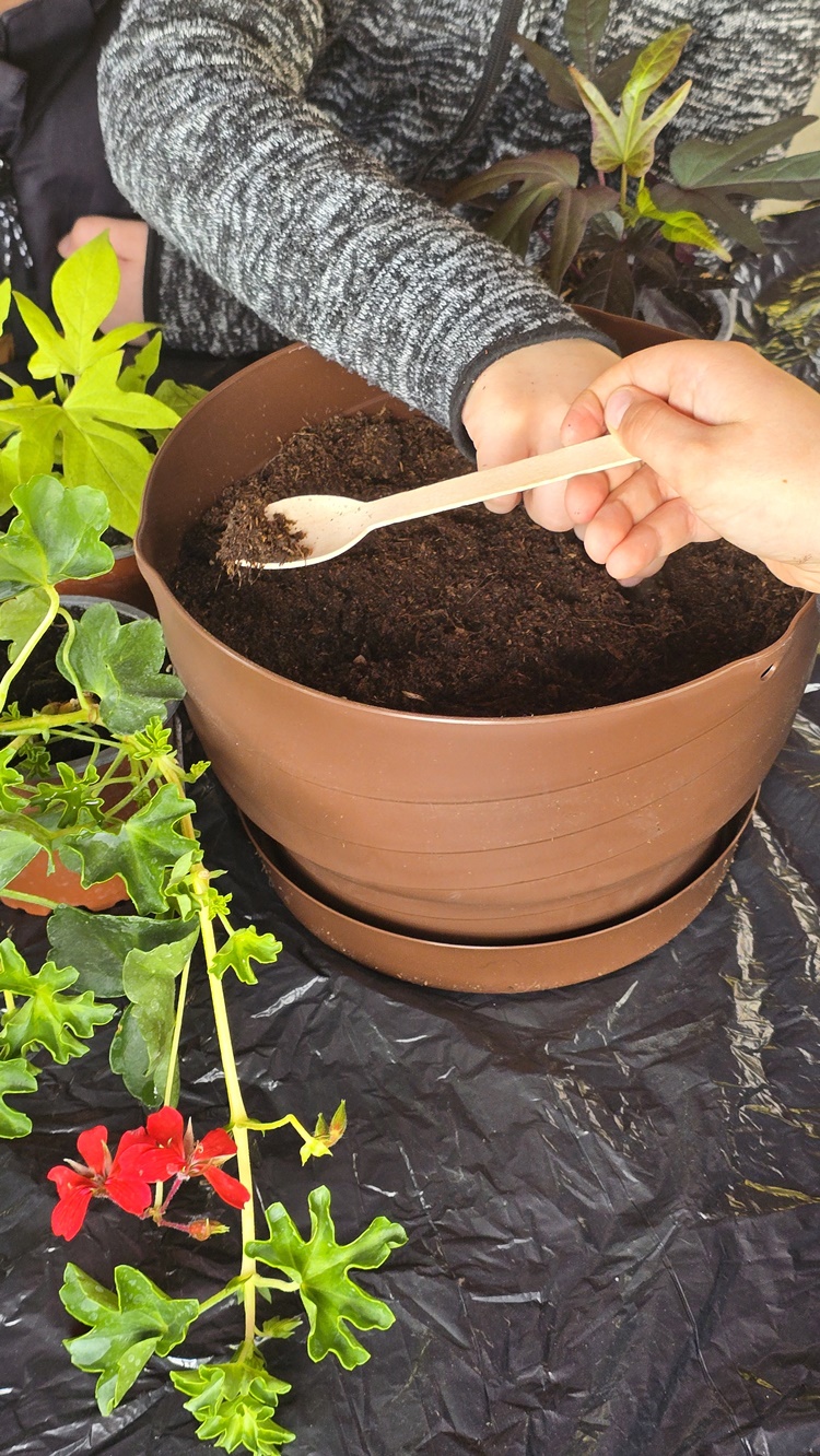 otb projekt (2) otb projekt (2)