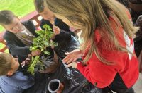 otb projekt (4) otb projekt (4)