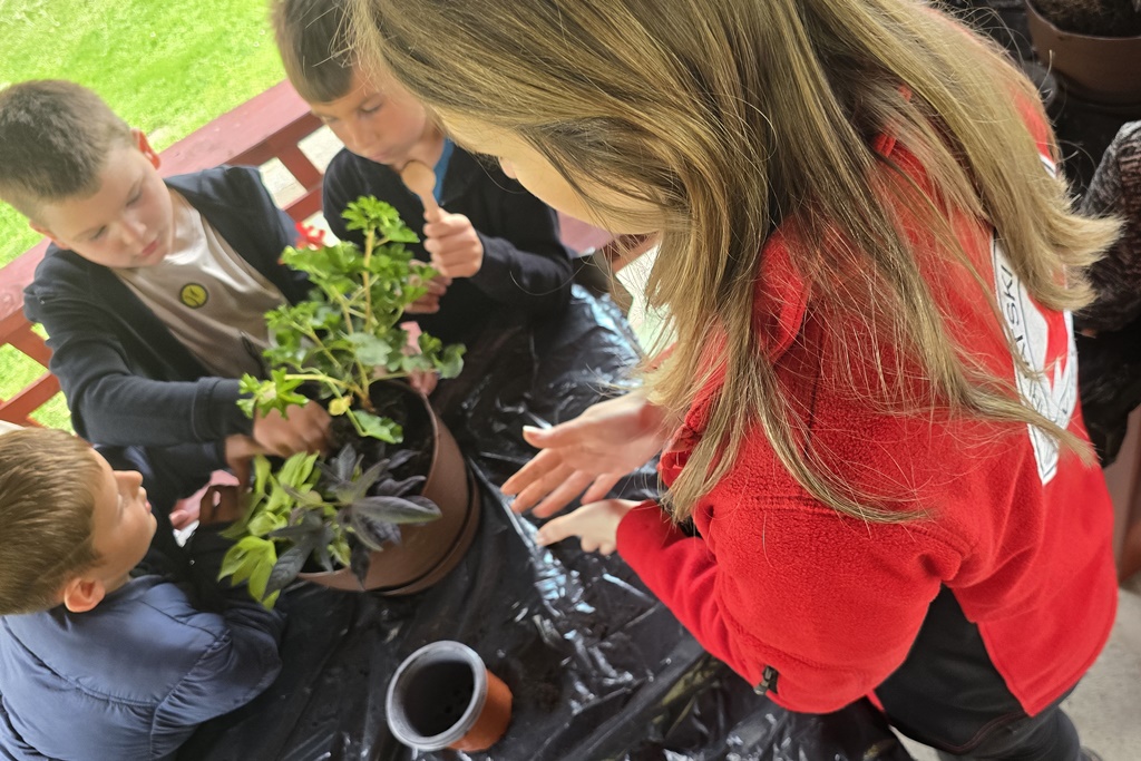 otb projekt (4) otb projekt (4)