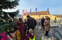 otb ukraseno drvce (20)