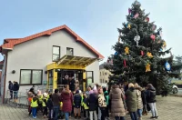 otb ukraseno drvce (22)