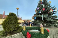 otb ukraseno drvce (23)