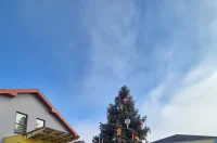 otb ukraseno drvce (4)