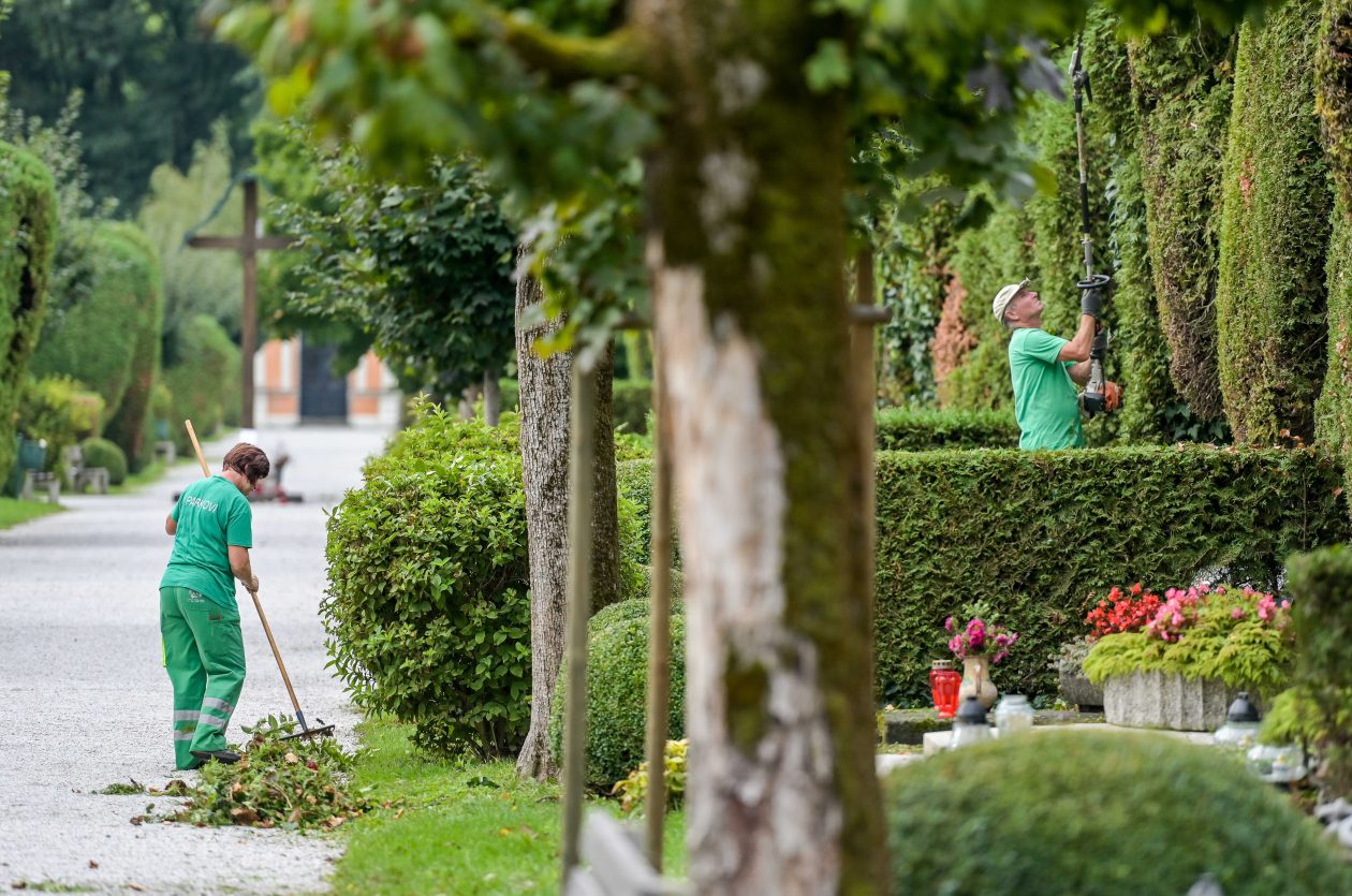 parkovi-(28)_optimized