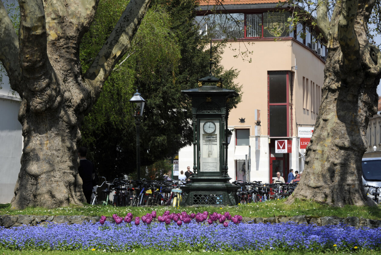 parkovi32_042010_photo©right by darko_gorenak_godar parkovi32_042010_photo©right by darko_gorenak_godar