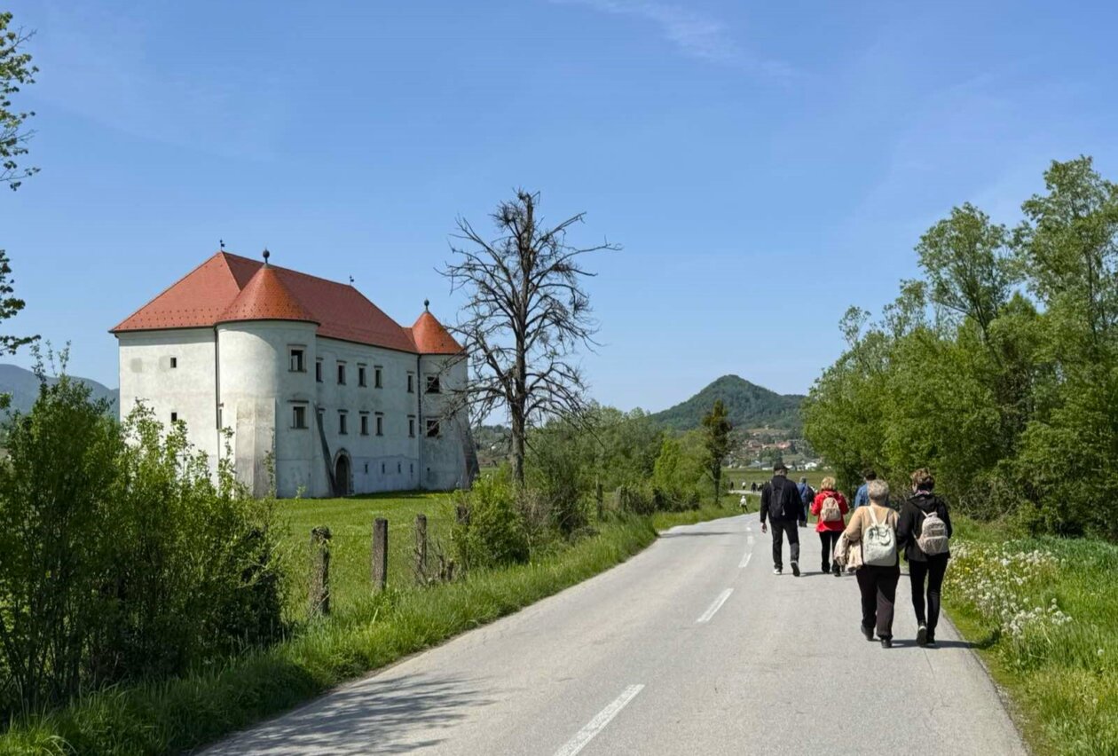 piknik_umirovljenici_dolina_vitezova_margecan_2025 (20) piknik_umirovljenici_dolina_vitezova_margecan_2025 (20)