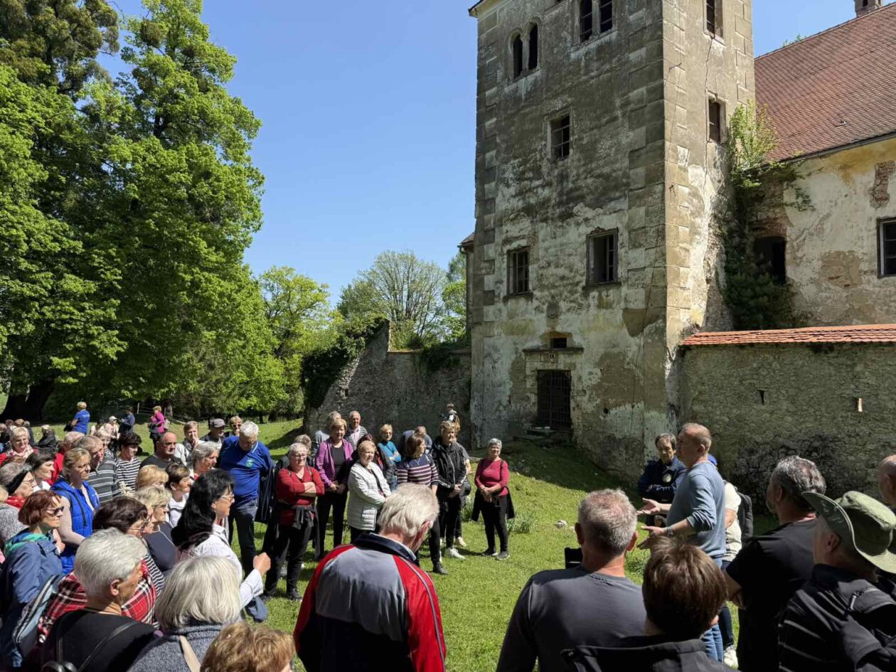 piknik_umirovljenici_dolina_vitezova_margecan_2025 (4) piknik_umirovljenici_dolina_vitezova_margecan_2025 (4)