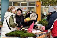 plac 20 12 2025 – vzhr 01