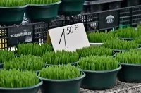 plac 20 12 2025 – vzhr 06