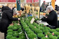 plac 20 12 2025 – vzhr 07