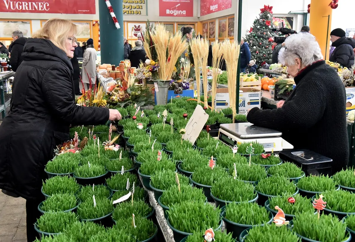 plac 20 12 2025 – vzhr 07