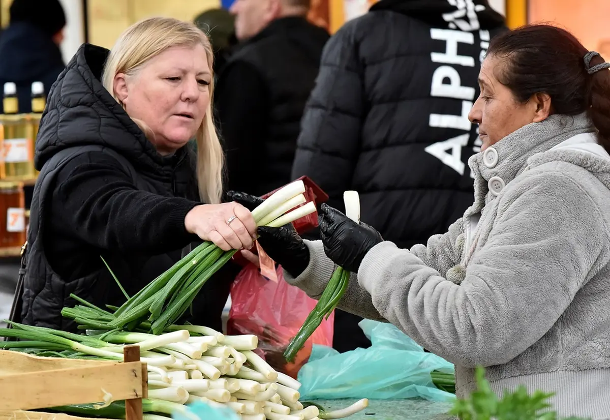 plac 20 12 2025 – vzhr 11