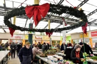 plac 20 12 2025 – vzhr 12