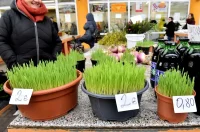 plac 20 12 2025 – vzhr 18