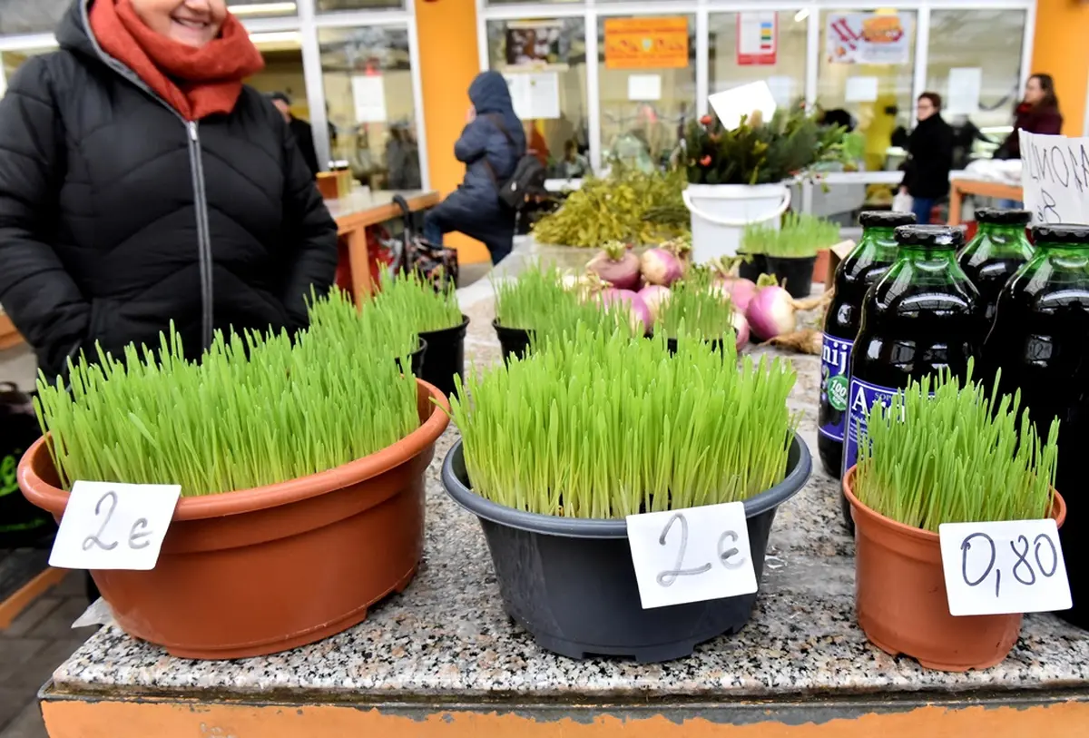 plac 20 12 2025 – vzhr 18