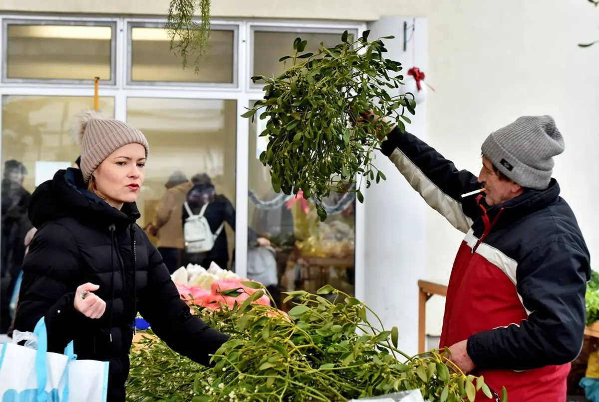 plac 20 12 2025 – vzhr 20