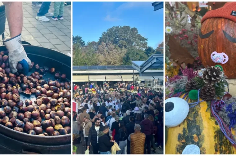 plac festival jeseni 03