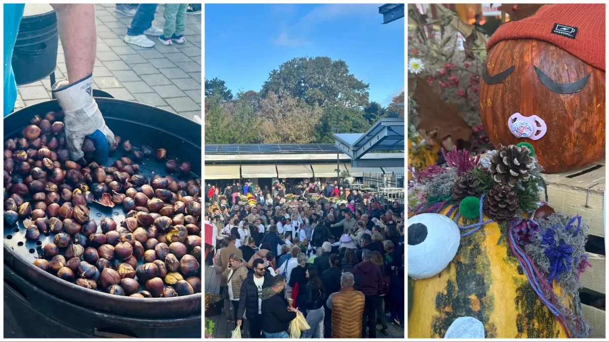 plac festival jeseni 03 plac festival jeseni 03